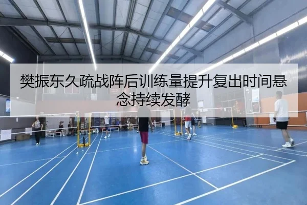 樊振东久疏战阵后训练量提升复出时间悬念持续发酵